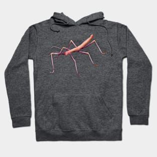 Lesbian Stick Bug Hoodie